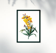 Load image into Gallery viewer, Yellow Wallflower Print Boho Botanical Art Print Modern Floral Wall Decor Minimalist Flower Wall Hangings Garden Home Decor Aesthetic Prints