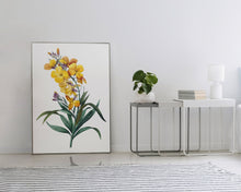 Load image into Gallery viewer, Yellow Wallflower Print Boho Botanical Art Print Modern Floral Wall Decor Minimalist Flower Wall Hangings Garden Home Decor Aesthetic Prints
