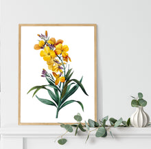 Load image into Gallery viewer, Yellow Wallflower Print Boho Botanical Art Print Modern Floral Wall Decor Minimalist Flower Wall Hangings Garden Home Decor Aesthetic Prints

